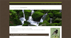 Desktop Screenshot of cecilefachinetti.com